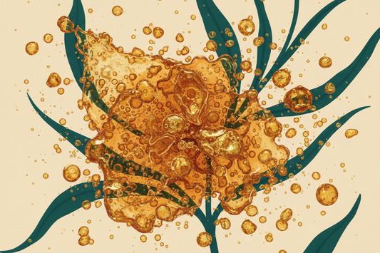 Botanical Fermentation: The Ancient Alchemy That Makes Plants More Powerful Than Nature Intended